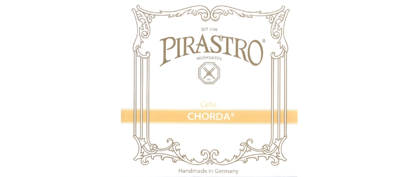 Chorda