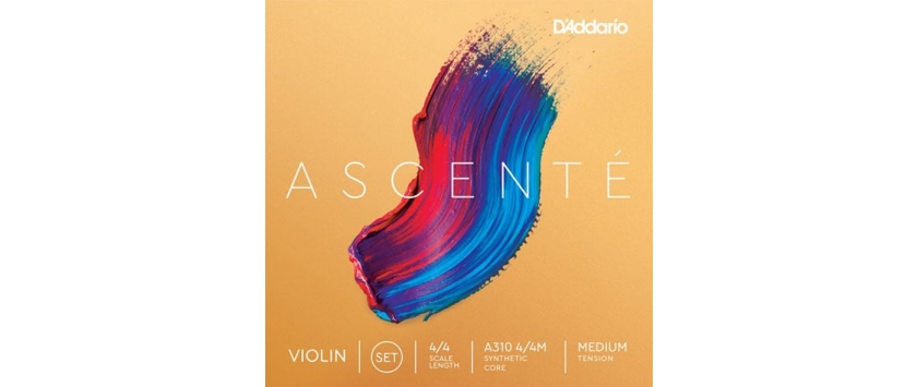 Ascente