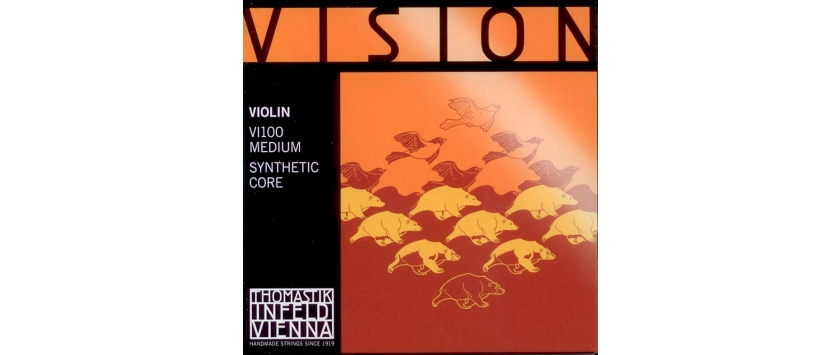 Vision