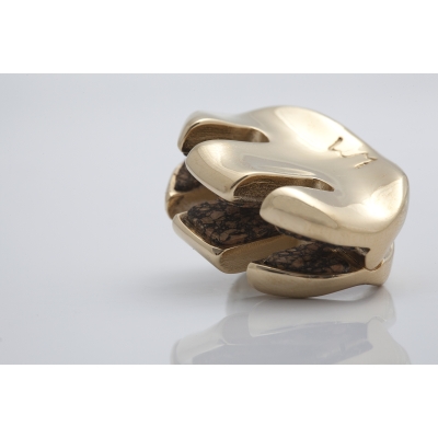 WMUTES Practice Gold Violine/Viola