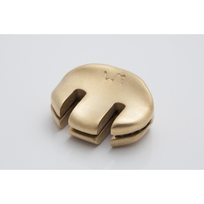 WMUTES Practice Gold Violine/Viola