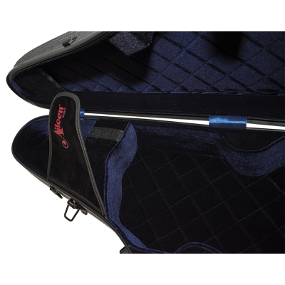AILEEN Shaped Case Violin