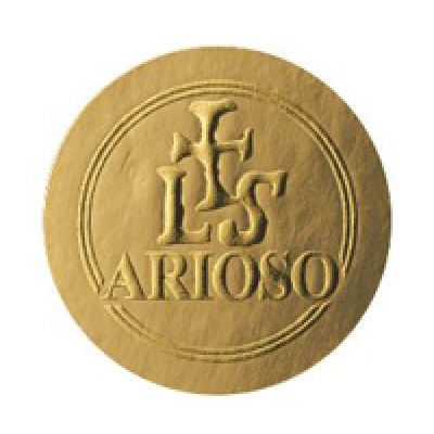 LARSEN Magnacore Arioso Cello D