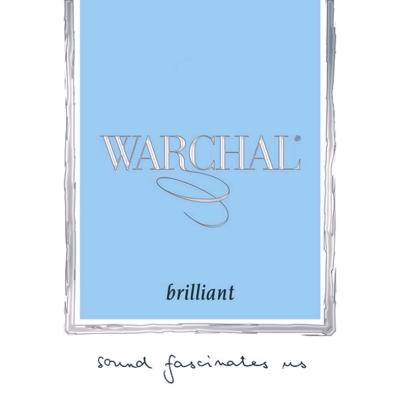 WARCHAL Brilliant Silver Violine SATZ